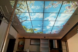 سقف شیشه ای - 1